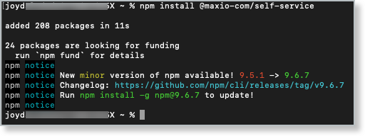 npm install terminal